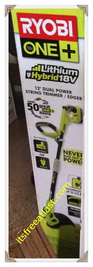 Ryobi Edger