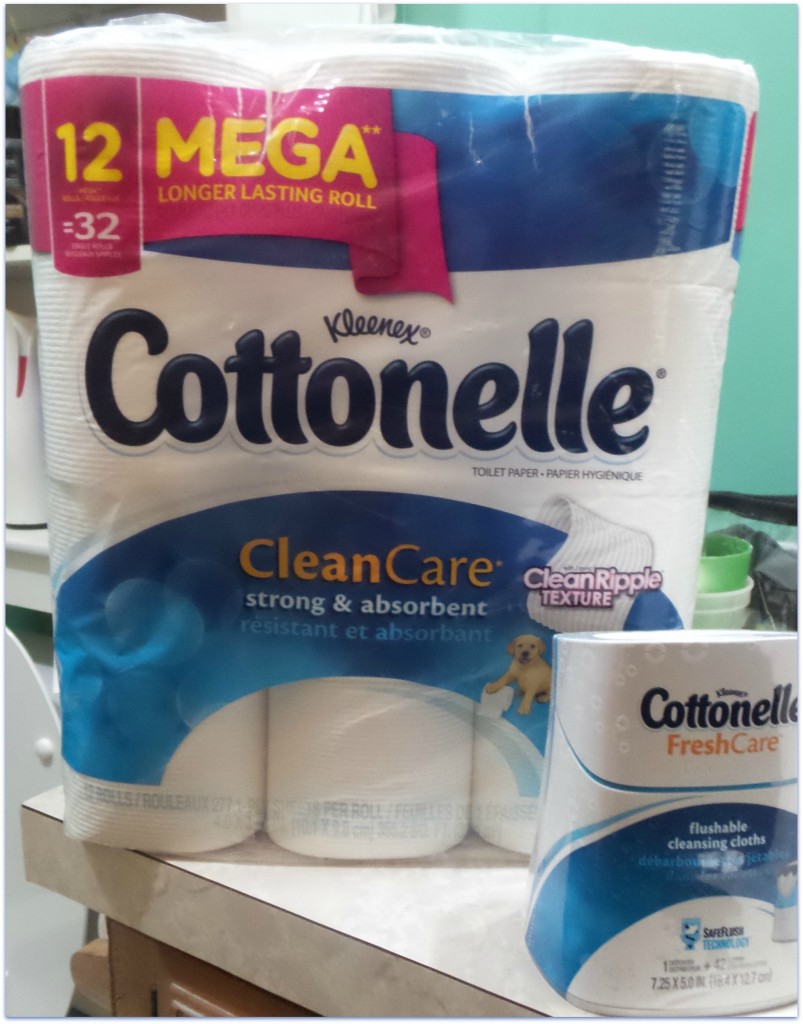 Cottonelle Clean Care Duo