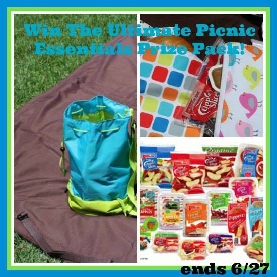 Ultimate Picnic Prize Pack