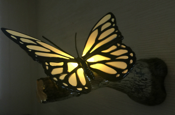 Butterfly 3DlightFX -02