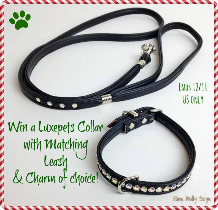 Collar Giveaway