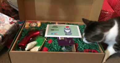 Purr-Packs Make a Great Gift For Cats #FAMChristmas