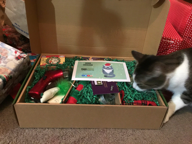 Purr-Packs Make a Great Gift For Cats #FAMChristmas