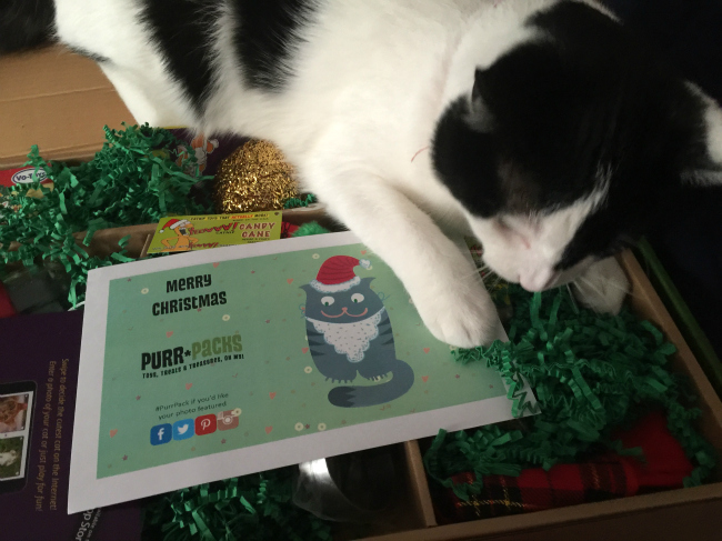 Purr-Packs Make a Great Gift For Cats #FAMChristmas