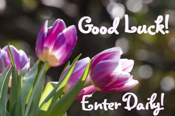 good-luck-tulips