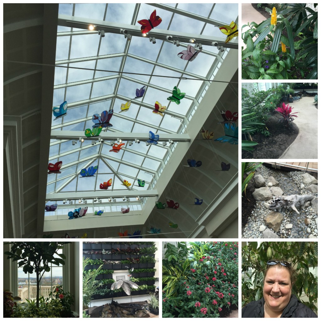 Hershey's Butterfly Conservatory