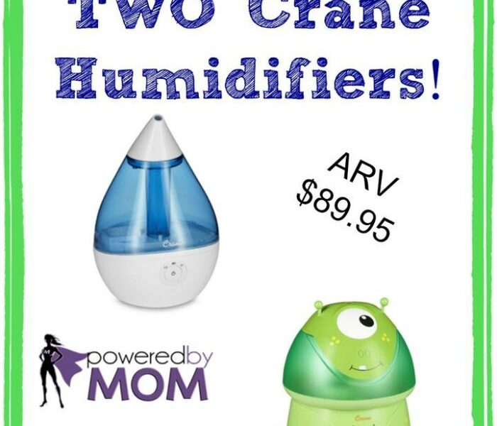 Crane Cool Mist Humidifier Giveaway