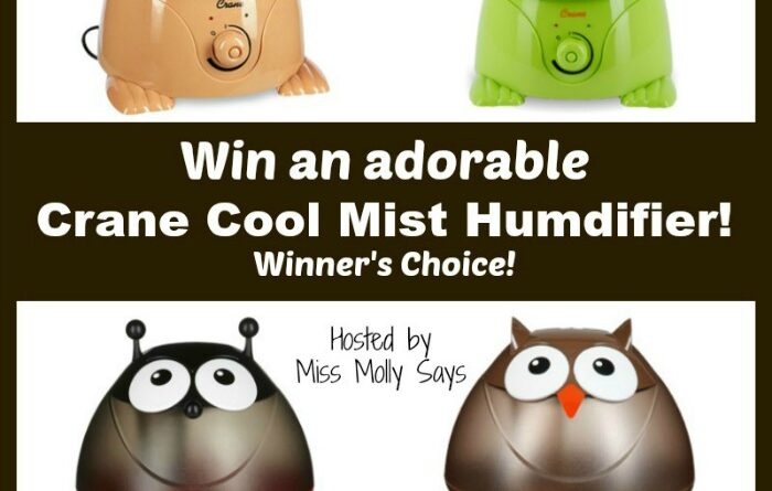 Crane Cool Mist Humidifier Giveaway