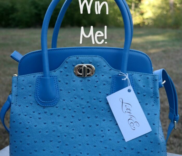 Day Blue Little E NYC Luxe Handbag giveaway button