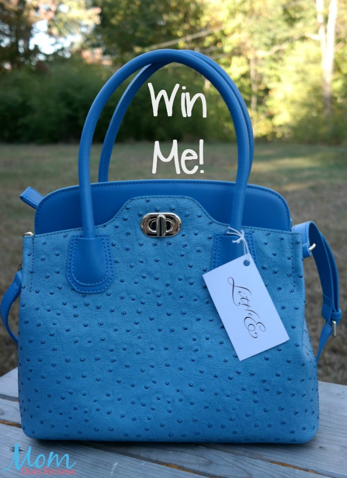 Day Blue Little E NYC Luxe Handbag giveaway button