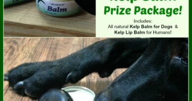 Win All Natural Kelp Balm Prize Package from Kelp Dog