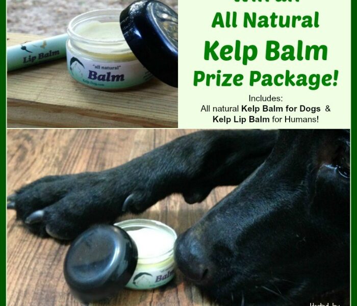 Win All Natural Kelp Balm Prize Package from Kelp Dog