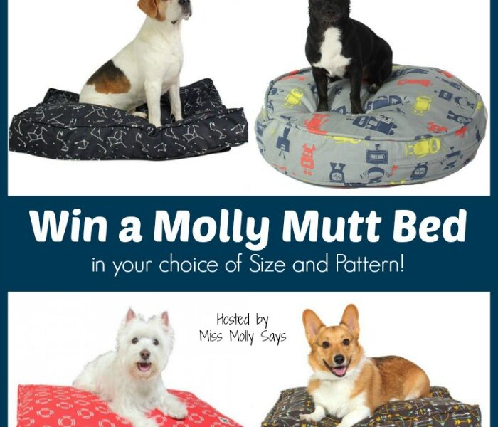 Molly Mutt Dog Bed Giveaway