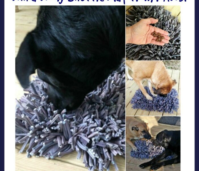 Wooly Snuffle Mat from PAW5 giveaway