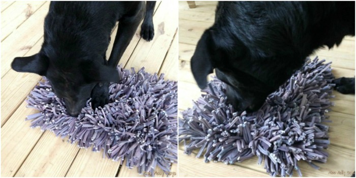Wooly Snuffle Mat with black German Shepherd Lab Mix