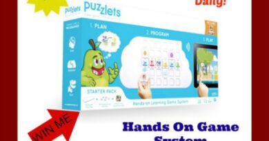 Puzzlets Hands On Game System Giveaway