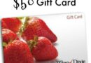 $50 Winn Dixie Gift Card Giveaway button