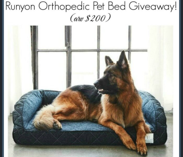 Brentwood Home Pet Bed Giveaway