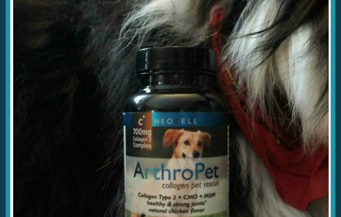 ArthroPet Collagen Supplement Giveaway