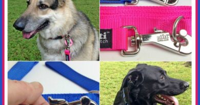 Nifty SafeLatch Leashes Giveaway