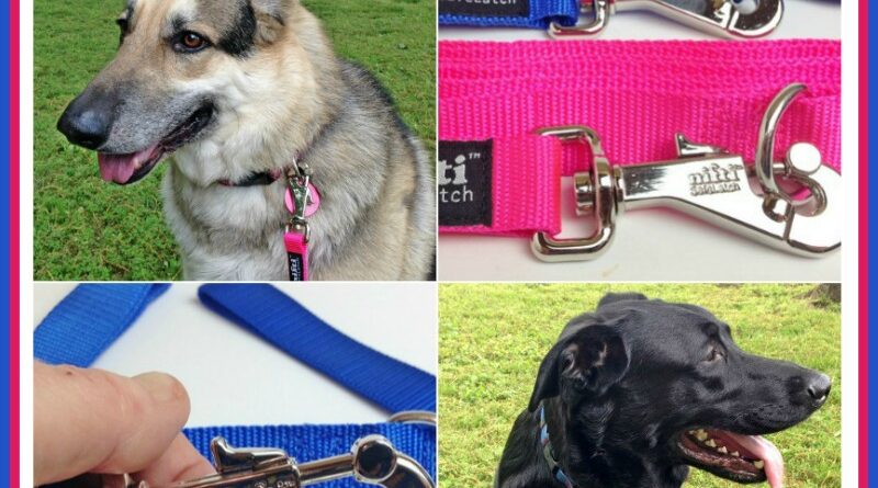 Nifty SafeLatch Leashes Giveaway
