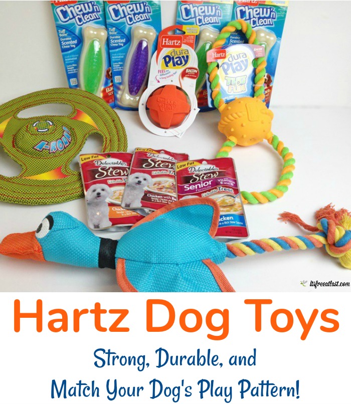 hartz duck dog toy