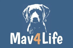 Mav4Life logo