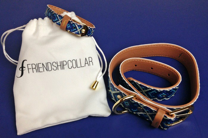 Friendship Collar