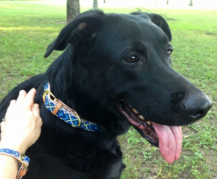 Friendship Collar