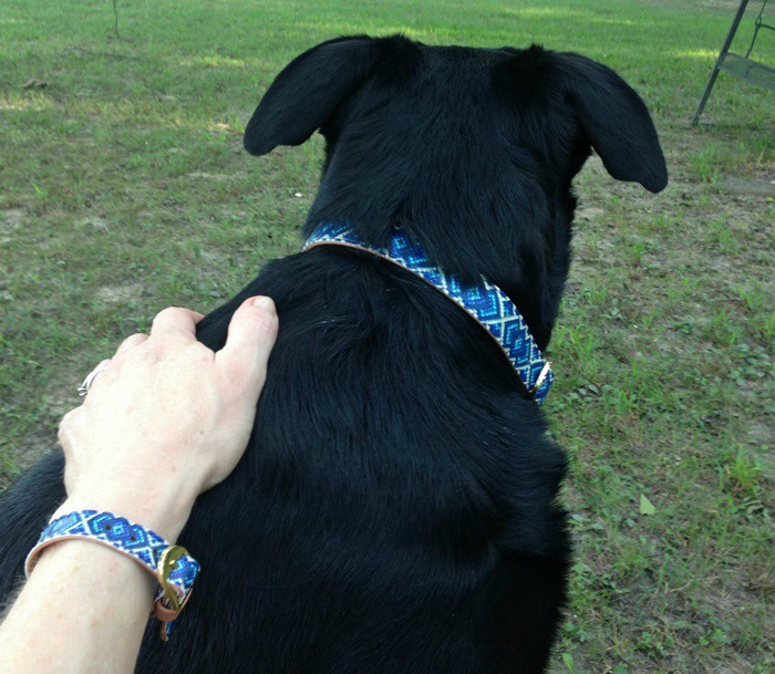 Friendship Collar