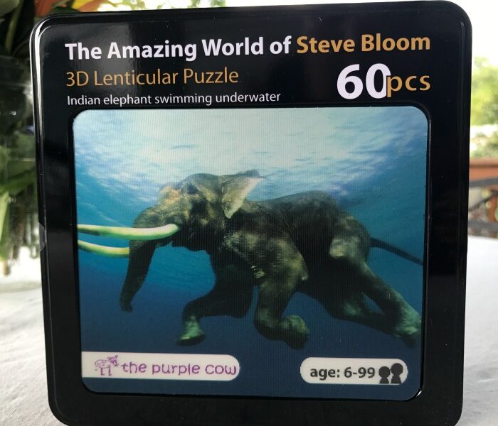Elephants - The Amazing World of Steve Bloom