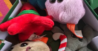 Find the Perfect Humorous and Educational Toys with GIANTmicrobes