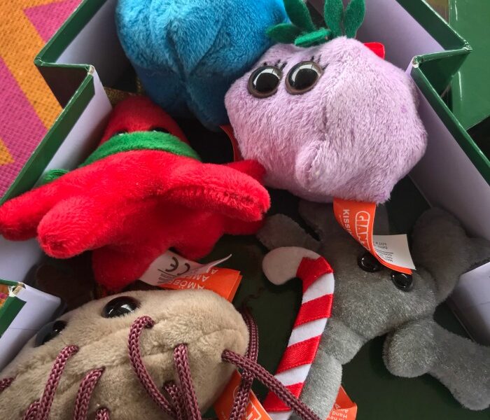 Find the Perfect Humorous and Educational Toys with GIANTmicrobes