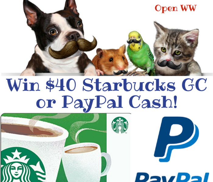 win Starbucks or paypal
