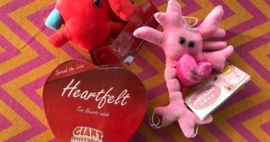 GIANTmicrobes is the Perfect Gift for Science Loving Moms