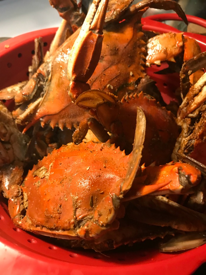 Male Blue Crab