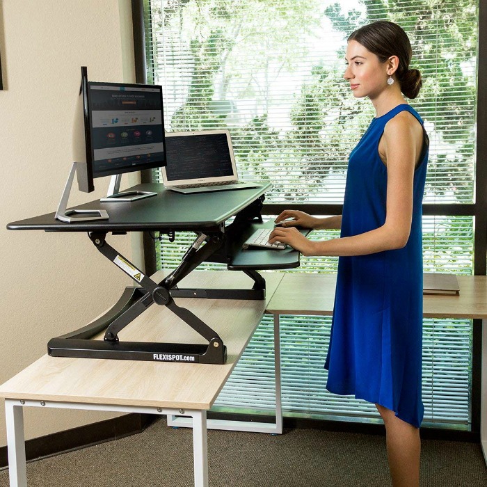 Flexispot M3B Standing Desk