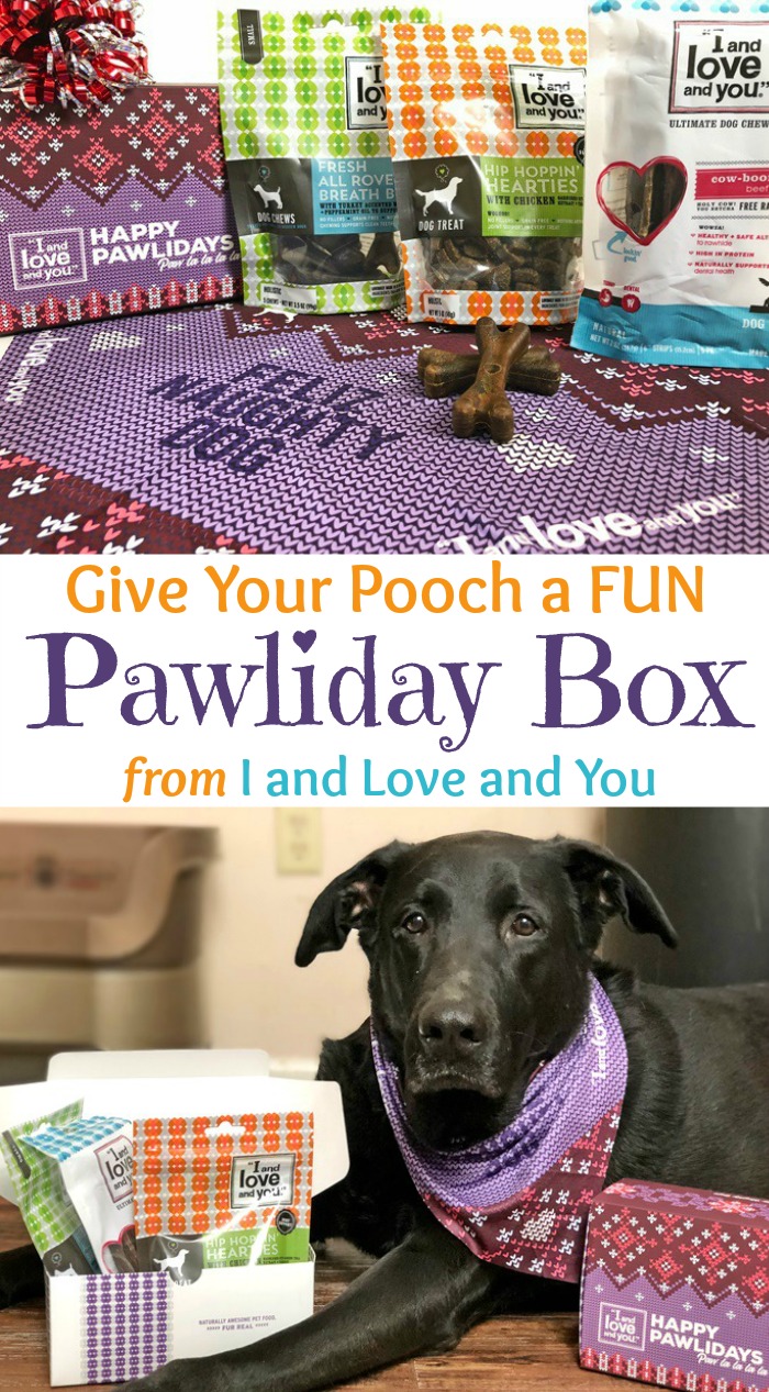 Give Your Pooch a FUN Pawliday Box from I and Love and You