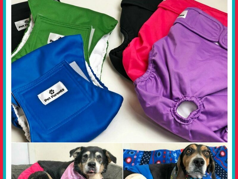 Pet Parents Dog Diapers & Belly Bands Giveaway