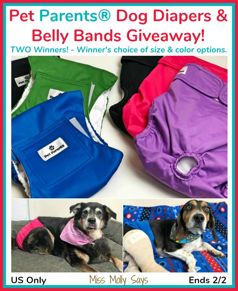 Pet Parents Dog Diapers & Belly Bands Giveaway 
