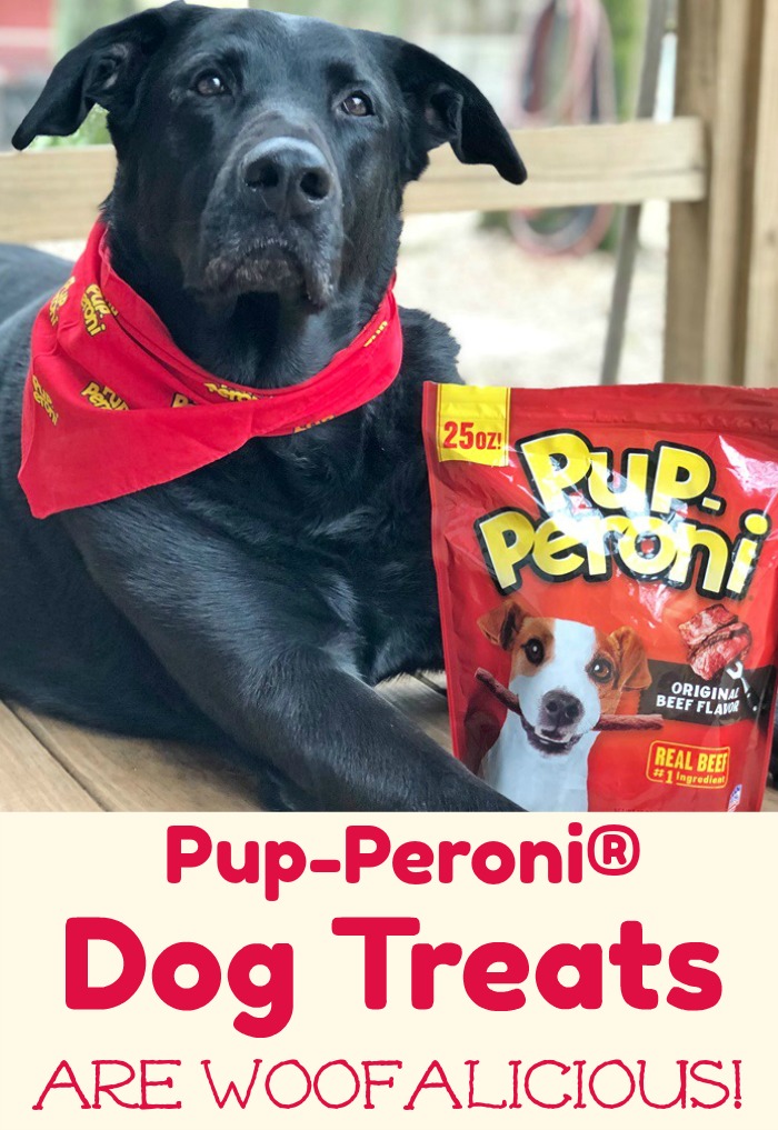 Pup-Peroni® Dog Treats are Woofalicious! #WOOFYEAH