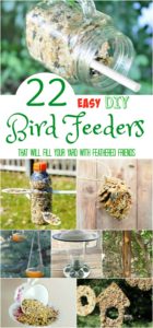 22 Easy DIY Bird Feeders that will Fill Your Yard with Feathered ...