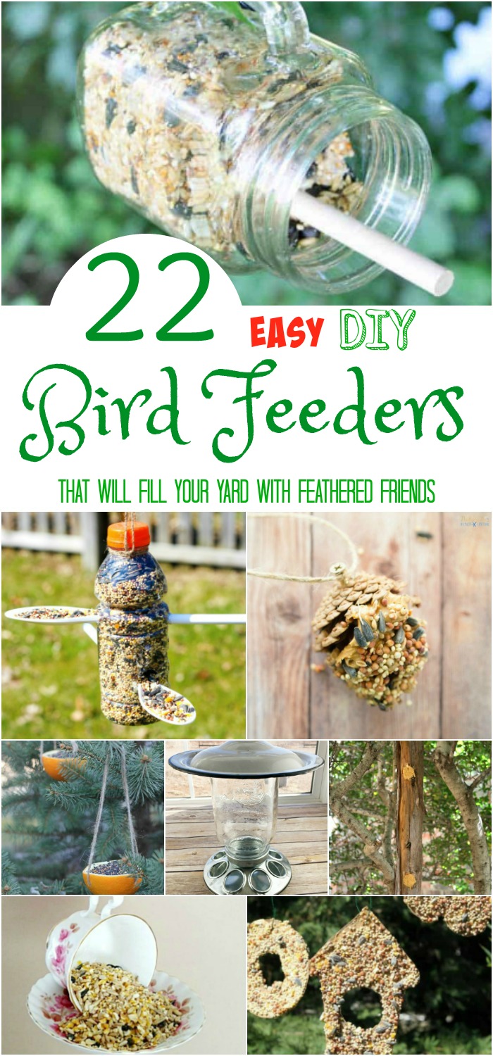 22 Easy DIY Bird Feeders that will Fill Your Yard with Feathered Friends 