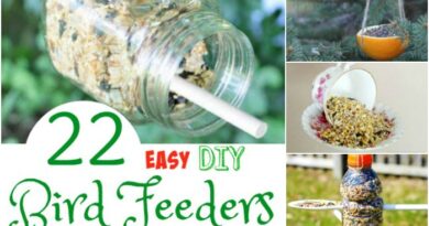 22 Easy DIY Bird Feeders that will Fill Your Yard with Feathered Friends