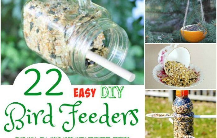 22 Easy DIY Bird Feeders that will Fill Your Yard with Feathered Friends