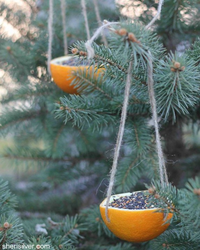 Orange Bird Feeder