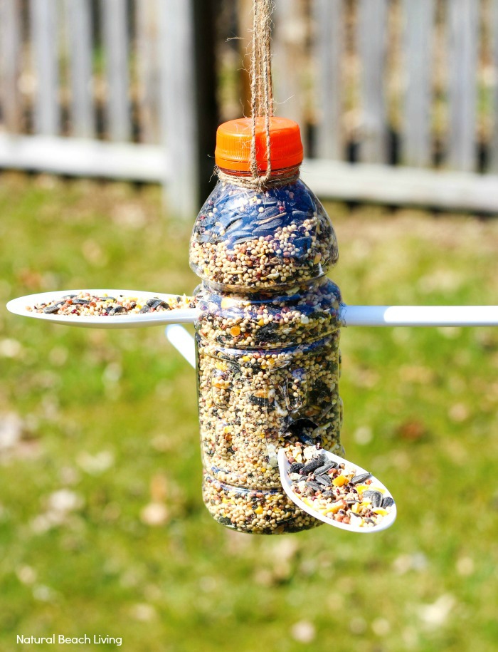 homemade bird feeder ideas