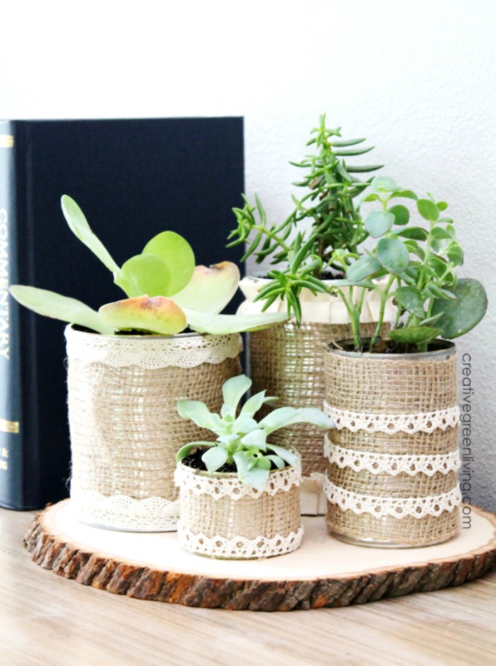 Recycled Succulent Planter