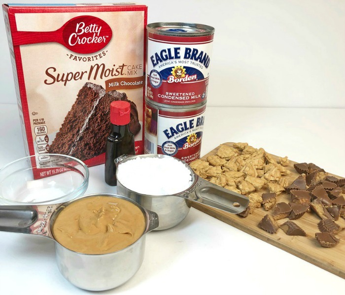 Chocolate Peanut Butter Poke Cake ingredients
