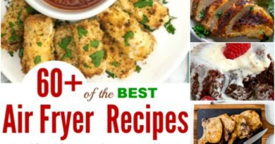 60+ of the BEST Air Fryer Recipes You Will Want to Add to the Menu
